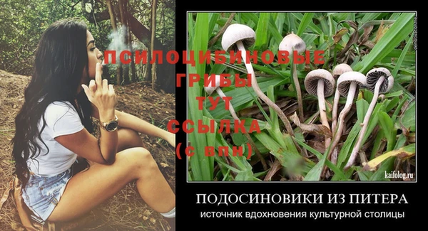таблы Абинск