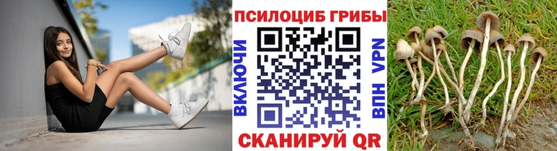 цены наркотик  Яхрома  Галлюциногенные грибы прущие грибы 